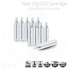 Pure 13g CO2 Cartridge īƮ��(1�ڽ�10��)









